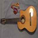 Olympia Guitar